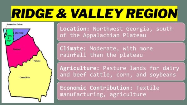 The Geographic Regions of Georgia-SS8G1 - Image 3