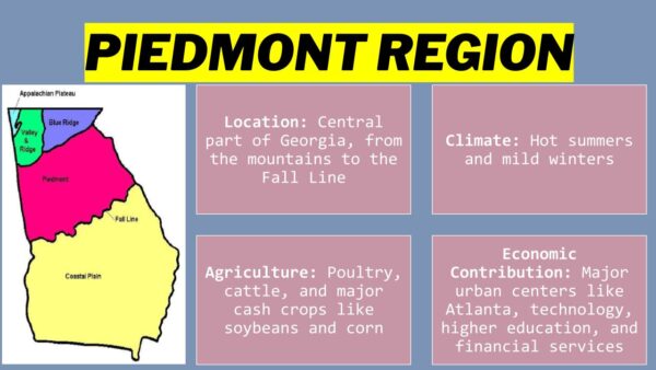 The Geographic Regions of Georgia-SS8G1 - Image 4