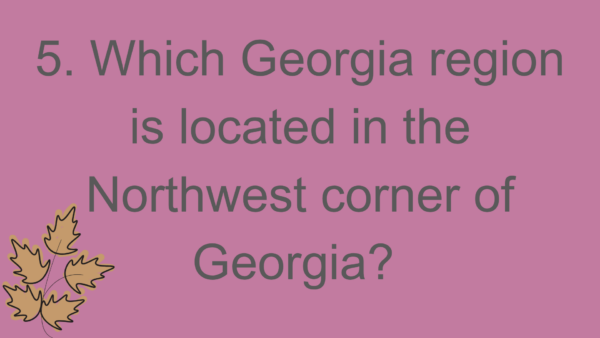 SS8G1-Georgia Geography Test (PPT) - Image 2