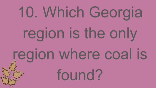 SS8G1-Georgia Geography Test (PPT) - Image 3